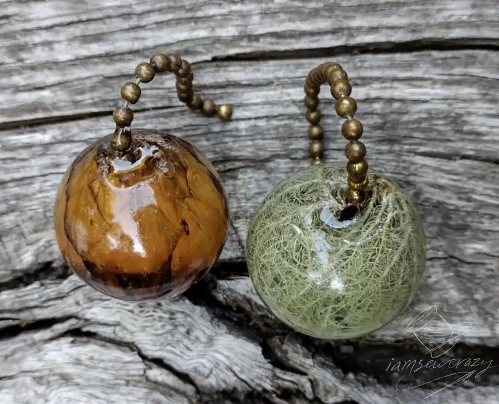 pine cone and lichen encased in resin