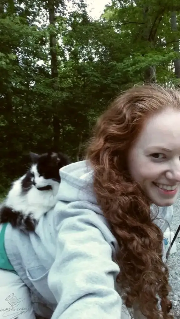 cat jumping on lady's back