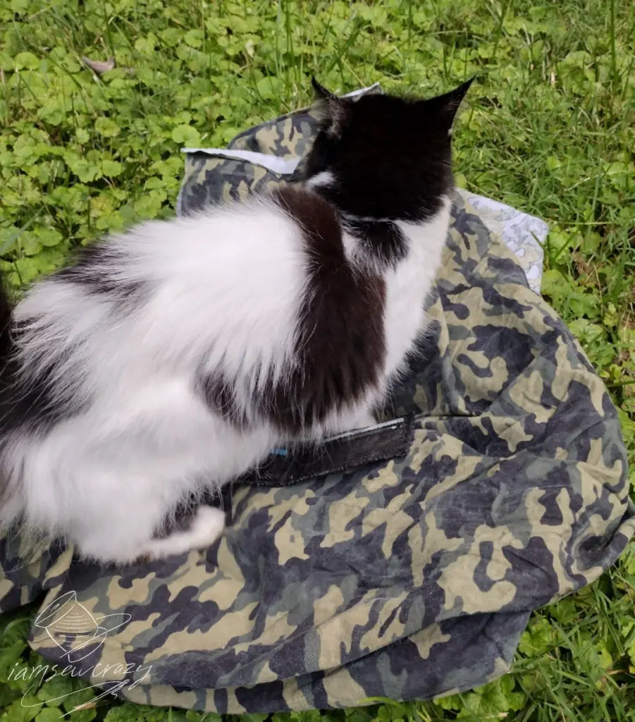 cat photobombing a picture of a wallet on camouflage fabric