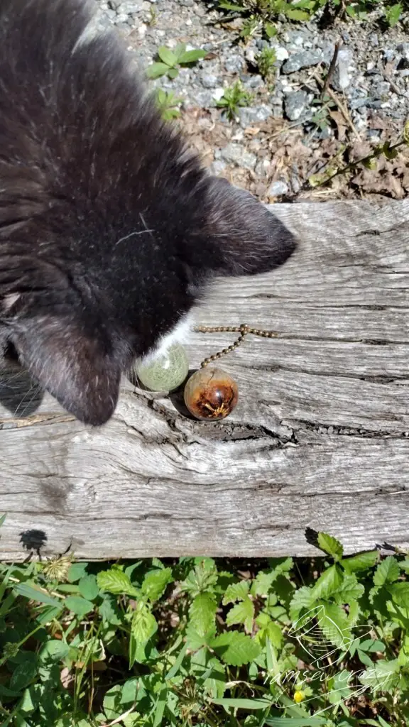 pictures of resin chain pulls with ears appearing in frame